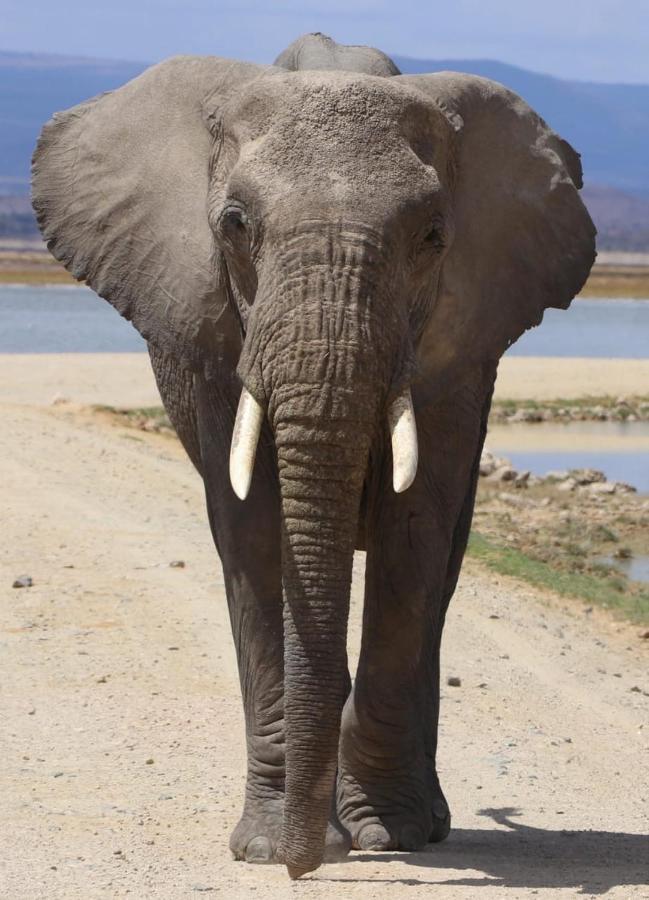 Amboseli Redhouse Exterior foto